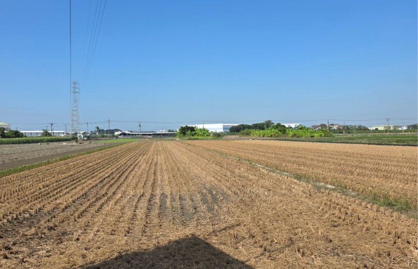 高雄大學農地