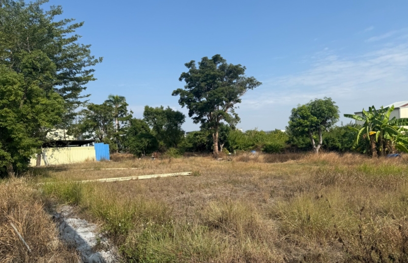 長安國小都內農地