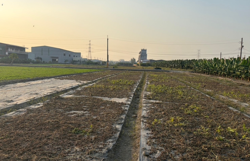 大寮和發旁雙面路農地