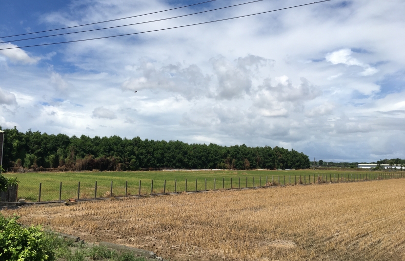 潮州減碳臨聚落之有路優良農田