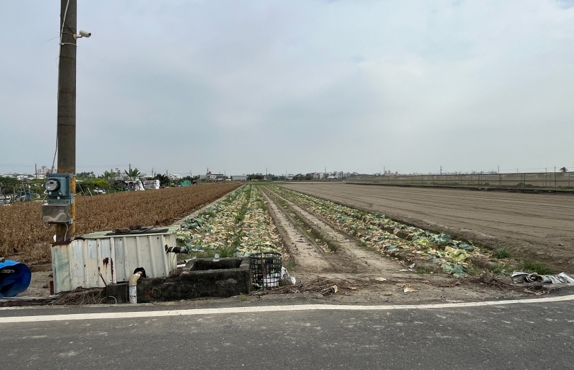 大寮低總價都內美農地