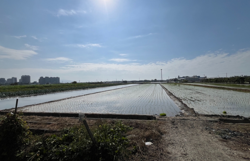 近高雄大學，橋頭美田出售