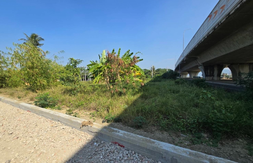 路竹新興段增值農地