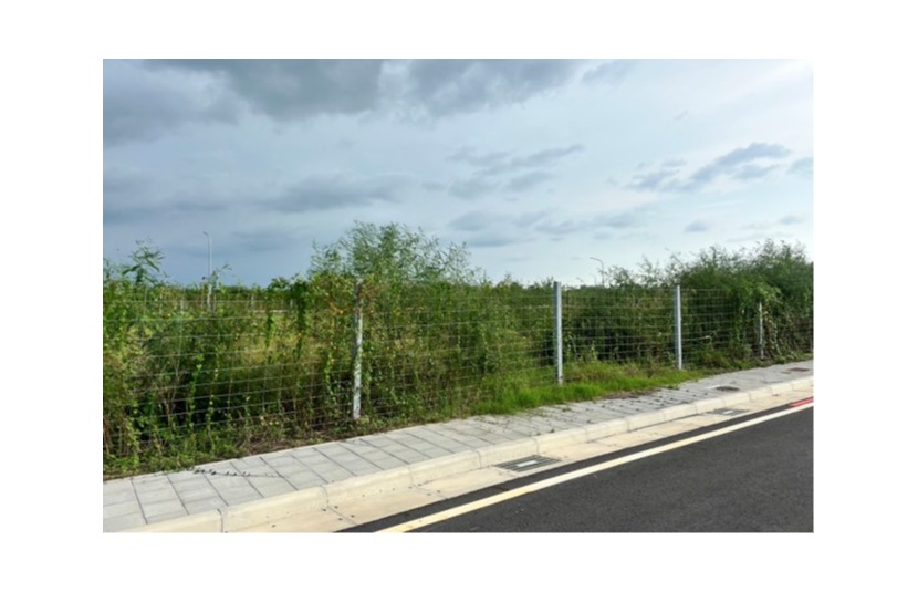 南科全新劃建地