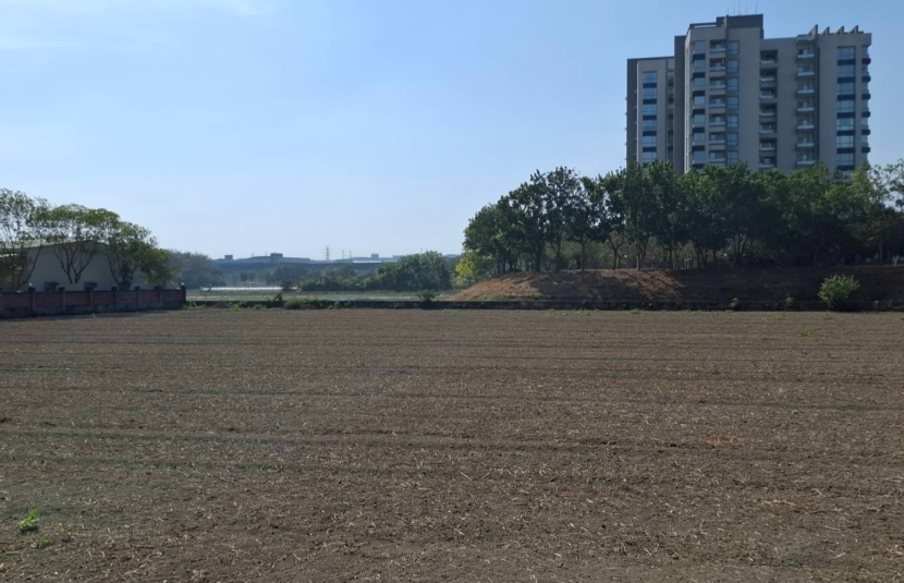 南科新市農地-2