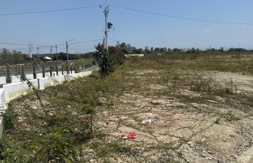 新市大洲都內農地