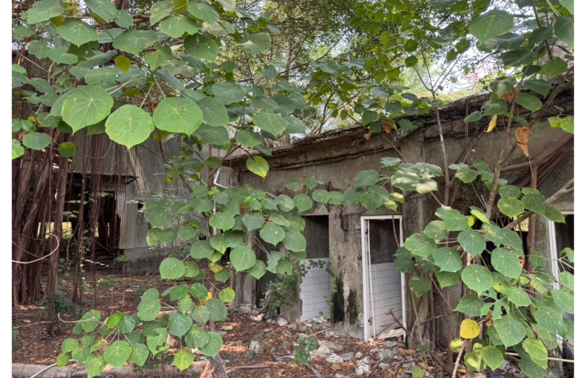 仁德奇美零星工業地