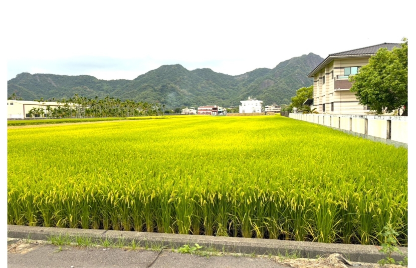 美濃漂亮臨路方正建地