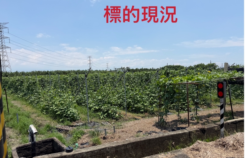屏東新園方正農地