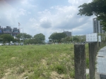 GLR23003 大坪數商場用 照片 (4)