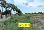 CLS23092照片2