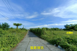DLS23098-照片 (5)