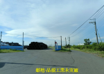 DLS23098-照片 (4)