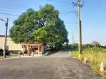 GLS24013 官田都內農地 照片 (6)