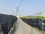 ALS25018-照片 (5)