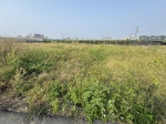 ALS25018-照片 (10)