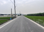 CLS25024照片4