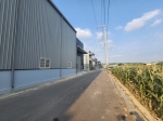 CLS25033照片2