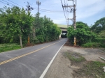 CLS25044照片3