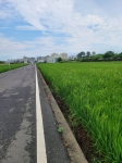 GLS25017 歸仁農會農地 照片 (4)