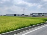 CLS25061照片4