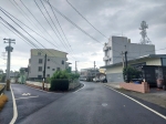 DLS25073