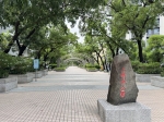 CBS25039照片6