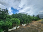 DLS25076