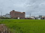 CLS25069照片2