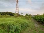 BLS25058