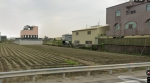 HLS25031
