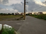 BLS25060