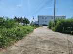 CLS25079照片4