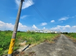 CLS25079照片3
