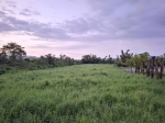 DLS25103
