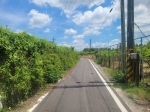 GLS25033 台南沙崙智慧綠能農地〡 照片(3)