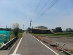 CLS25086照片2