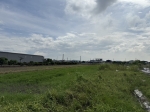 CLS25087照片3
