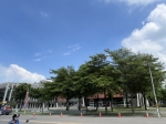 CLS25092照片6