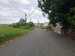 CLS25096照片4