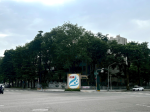 ABR26029
