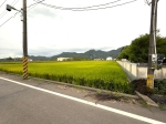 ALS26052