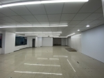 GBR26027 健康路黃金角窗 照片(4)