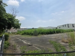 CLS26056照片2