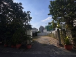 ALS26066