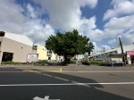 GLS26033 德高段千坪建地 照片(4)