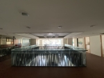 GBR26030 南門典雅白店霸 照片(6)