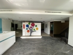 GBR26030 南門典雅白店霸 照片(2)