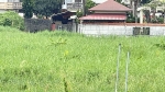CLS26066照片6
