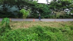 CLS26066照片5